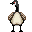 goose.png