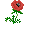 Poppy Flower.png