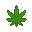Ground cannabis.png
